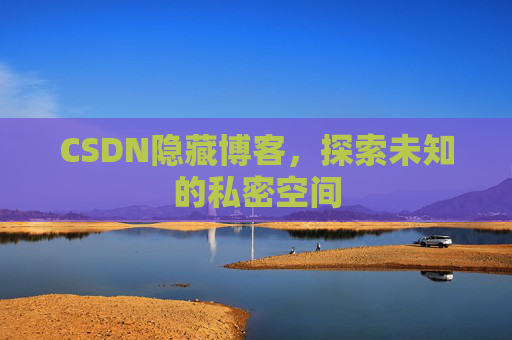 CSDN隐藏博客，探索未知的私密空间